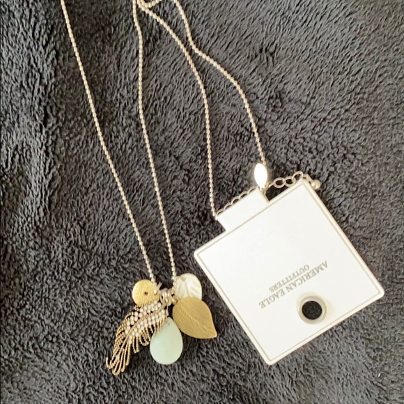 American Eagle Outfitters Jewelry - Necklace with extender